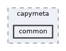 core/capymeta/include/capymeta/common